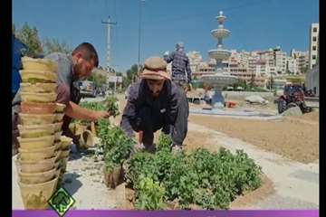 ساماندهی دلتا و اجرای آبنمای زیبا بلوار پاسداران